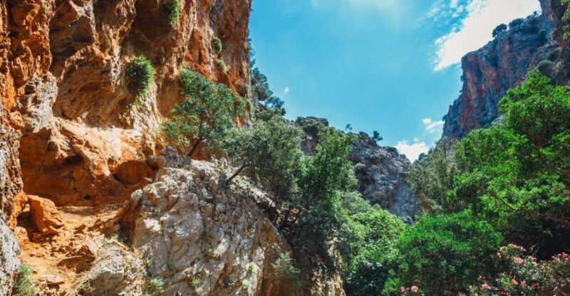 Crete: Kritsa Gorge Hike with Picnic & Swim Stop - Key Points