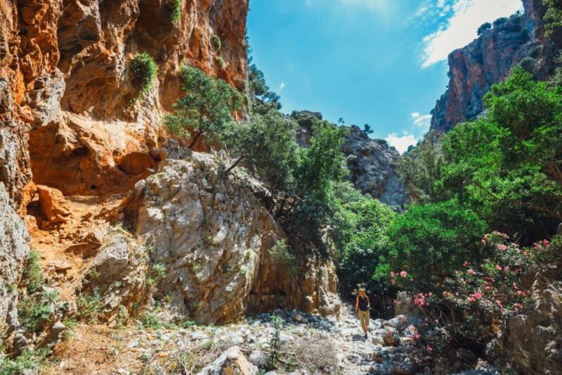 Crete: Kritsa Gorge Hike with Picnic & Swim Stop - Swimming at a Gently Sloping Sandy Beach