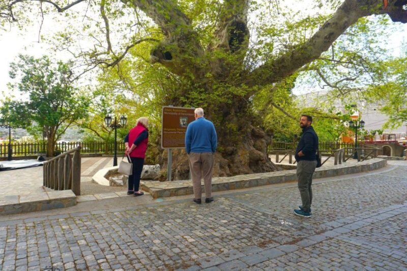 Crete: Lasithi Plateau, Mythologic Park & Villages Tour - Discover Crete’s Mountain Beauty and Mythological Heritage