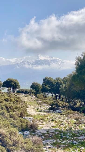 Crete: Lassithi Plateau Guided Hiking Tour - Key Points