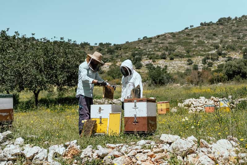 Crete: Melidoni Cave, Honey, Olive Oil & Reptisland - Cost and Booking Options for Flexibility