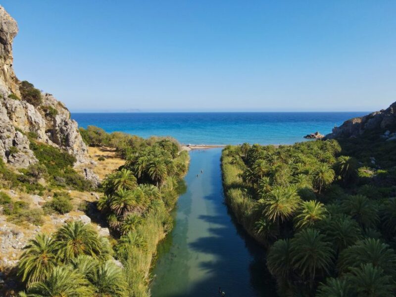 Crete: Preveli Tropical Beach and Palm Forest - Exploring the Lush Palm Forest and Tropical Flora