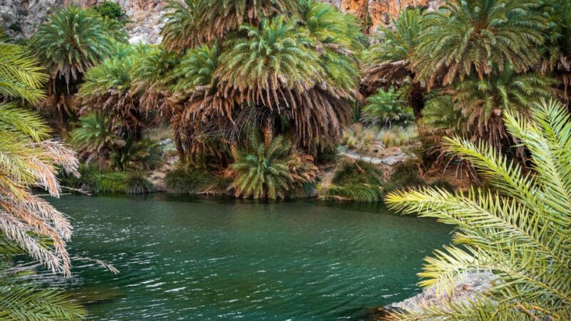 Crete: Preveli Tropical Beach - Key Points