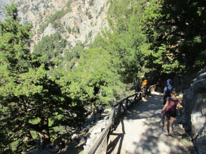 Crete: Private Guided Trek to Samaria Gorge with Transfer - Return Transfer to Rethymno or Chania