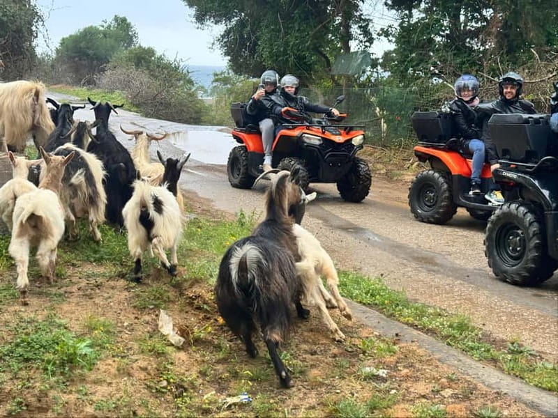 Crete: Quad Safari traditional hidden villages - nature - Explore Crete’s Rugged Countryside with a Quad Safari