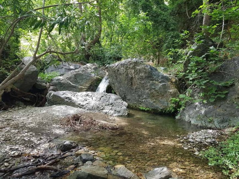 Crete: Richtis Waterfall Full-Day Tour with Olive Tasting - Traditional Crete Lunch and Olive Oil Tasting
