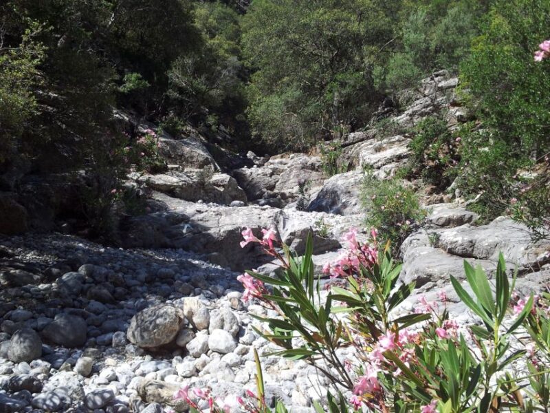 Crete: Richtis Waterfall Full-Day Tour with Olive Tasting - Guides and Group Size for a Personalized Experience
