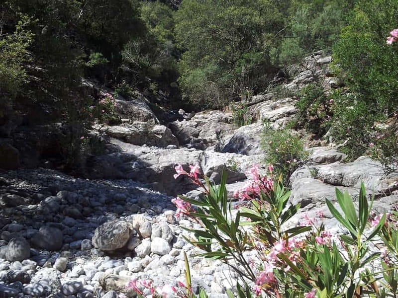 Crete: Richtis Waterfall Full-Day Tour with Olive Tasting - Final Thoughts on the Richtis Waterfall Tour
