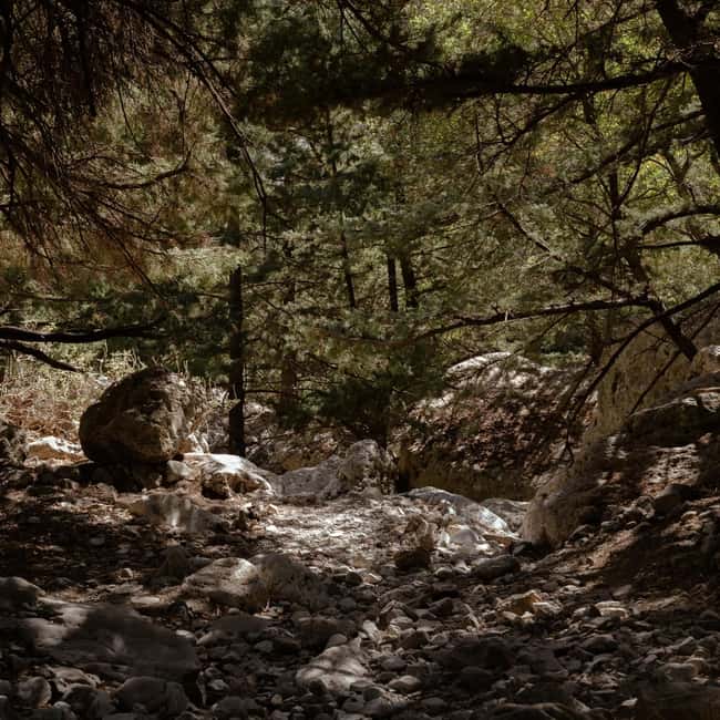 Crete: Samaria Gorge Hike with Agia Roumeli Beach Time - Key Points