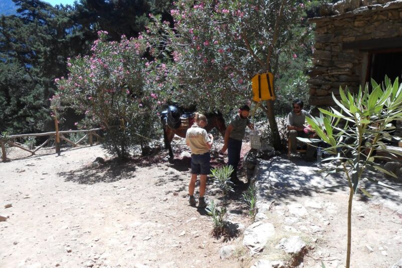 Crete: Samaria Gorge Hiking with transfer and expert Escort - Key Points