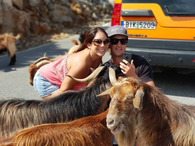 Crete: Sarakina Gorge, Forests, and South Coast Safari - Discovering Hidden Gems and Scenic Vistas