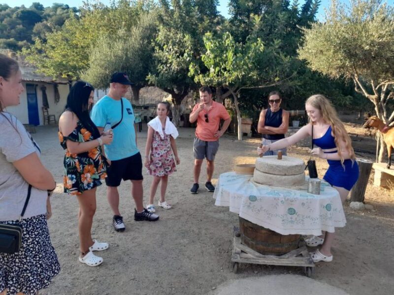 Crete: Sunset Safari - Traditional Dinner with Local Wines in Malia