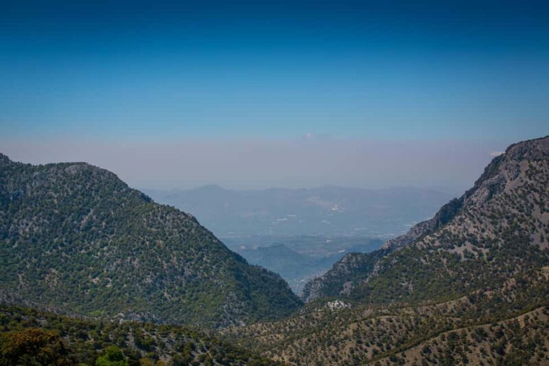 Crete: Truffle Hunting with Dog & Lunch in Rouvas Forest - Logistics of the Tour: Meeting Point and Duration