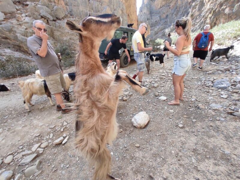 Crete: Trypiti Beach Off-Road South Tour w/ Lunch & Wine - Who Will Appreciate This Tour Most