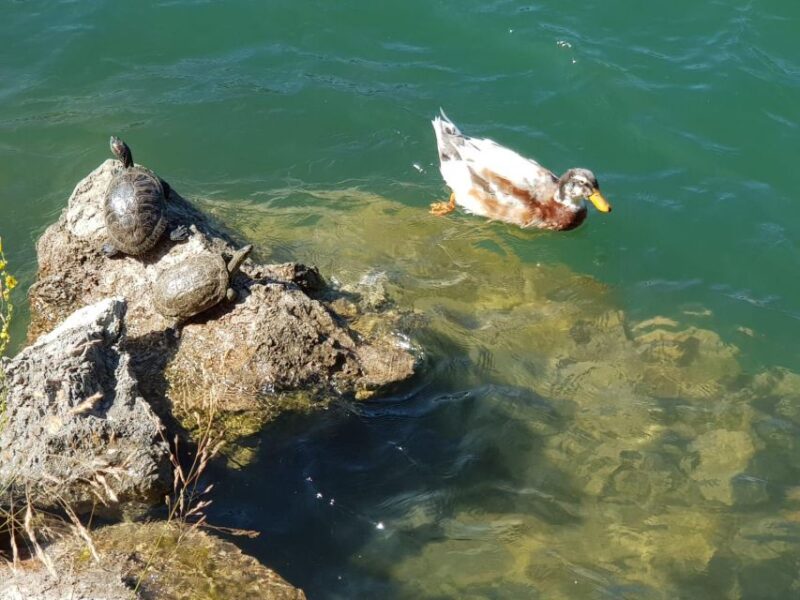 Crete: Trypiti Beach Off-Road South Tour w/ Lunch & Wine - Final Thoughts on the Trypiti Beach Off-Road Tour