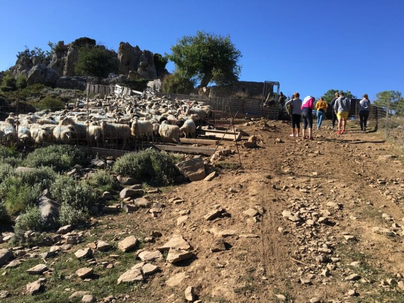 Crete: White Mountains Preserve Day Tour - Physical Requirements and Accessibility