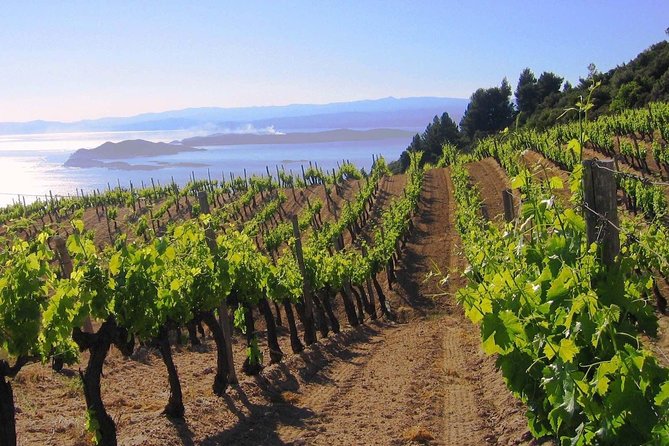 Crete Wine & Olive Oil Tour - Logistics and Transportation Details