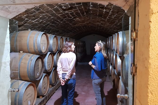 Crete Wine & Olive Oil Tour - Crete Wine & Olive Oil Tour: Authentic, Personal, and Delicious