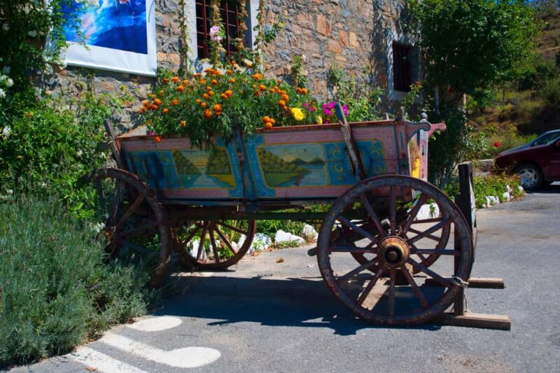 Crete Winter: Small Group Knossos Palace - Lasithi Plateau - Important Considerations for Participants