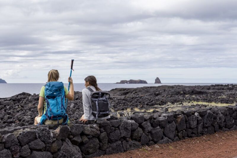 Criação Velha Walking Tour - The Guide’s Role and Local Wine Heritage