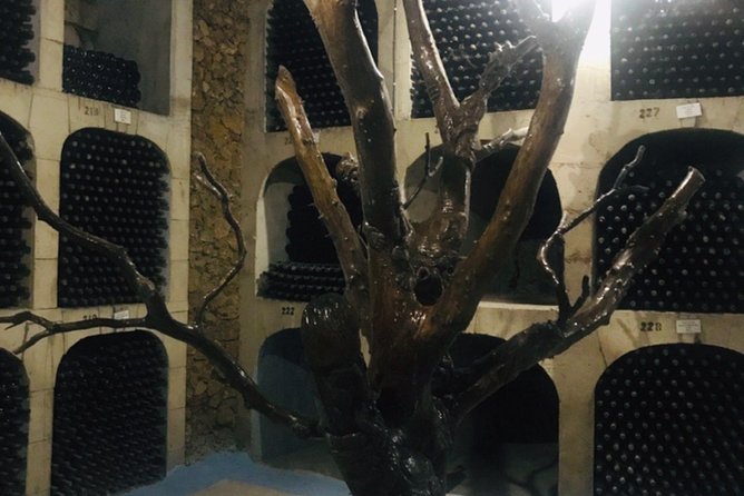 Cricova & Milestii Mici Wineries - Final Thoughts on the Cricova & Milestii Mici Wineries Tour