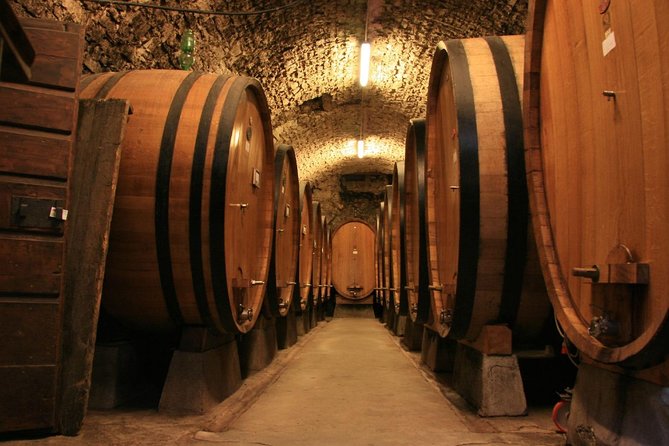 CRICOVA Winery tour with tasting from Chisinau - The Charm of Cricova’s Underground Streets