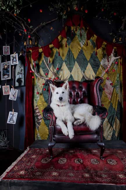 Croatia: Museum of Lost Tales - Becoming Part of Croatian Mythology