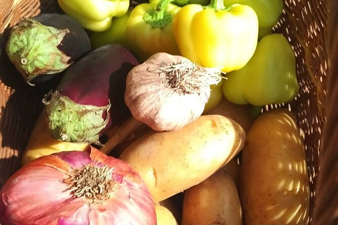 Croatian Traditional Cuisine: Peka Cooking Lesson - Comparing the Peka Cooking Lesson to Other Dubrovnik Experiences