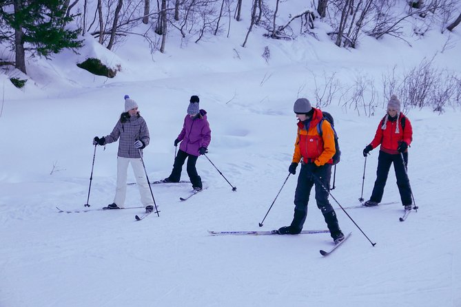 Cross-Country Ski Lesson for Beginners in Tromso - The Role of Guides and Personalised Instruction