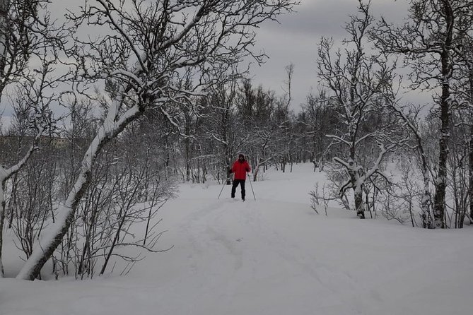 Cross-Country Ski Lesson for Beginners in Tromso - Scenic Surroundings and Photo Opportunities