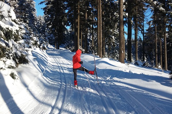 Cross-Country Skiing Guided Tour From Prague - Key Points