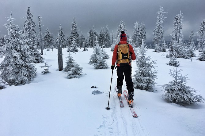 Cross-Country Skiing Guided Tour From Prague - Return to Prague with Photos and Stories
