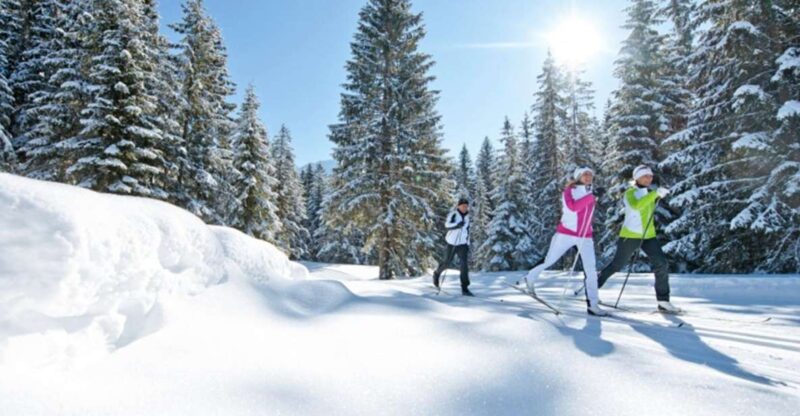 Cross Country Skiing Lessons for Beginners (Feldberg) - Exciting Beginners Cross-Country Ski Lessons at Feldberg in the Black Forest