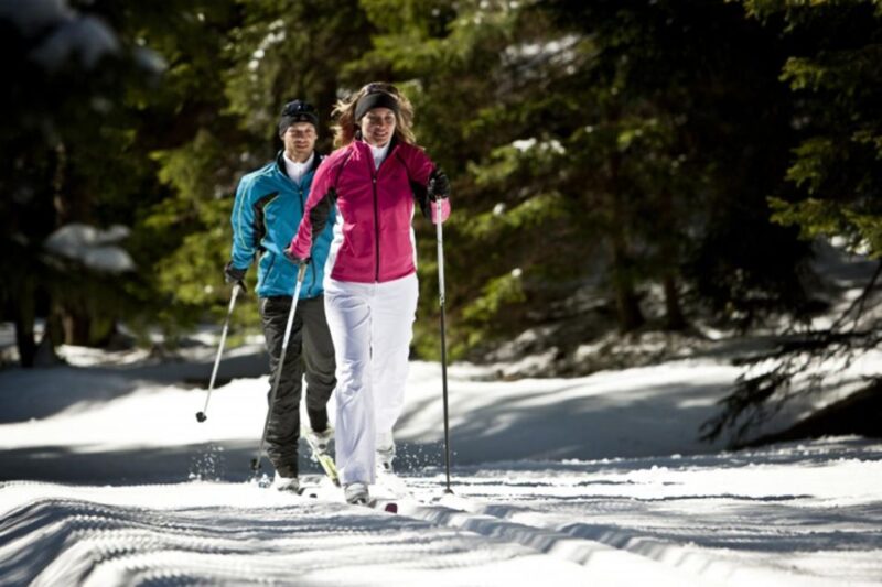 Cross Country Skiing Lessons for Beginners (Feldberg) - Key Points