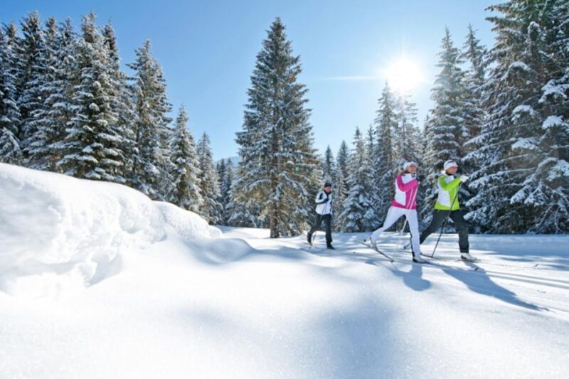 Cross Country Skiing Lessons for Beginners (Feldberg) - Expert Instruction from Certified Ski Instructors