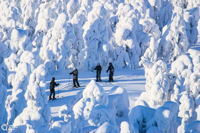 Cross-Country Skiing Trip - Pricing and Value for Money