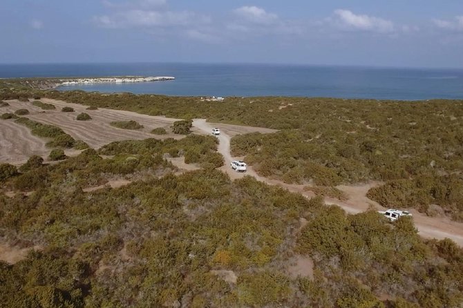 Cruise and 4X4 Safari Tour at Akamas Peninsula from Paphos - Exploring Avakas Gorge on Foot