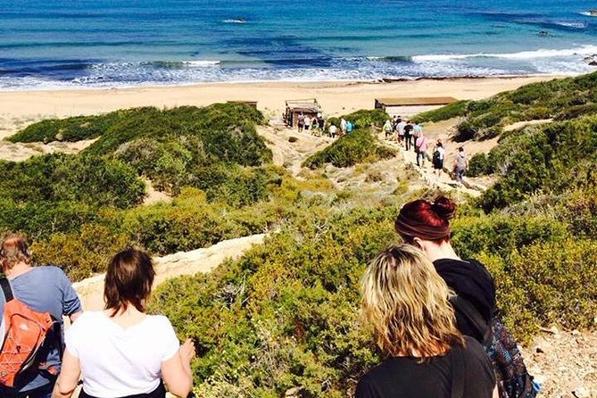 Cruise and 4X4 Safari Tour at Akamas Peninsula from Paphos - Who Will Appreciate This Tour?