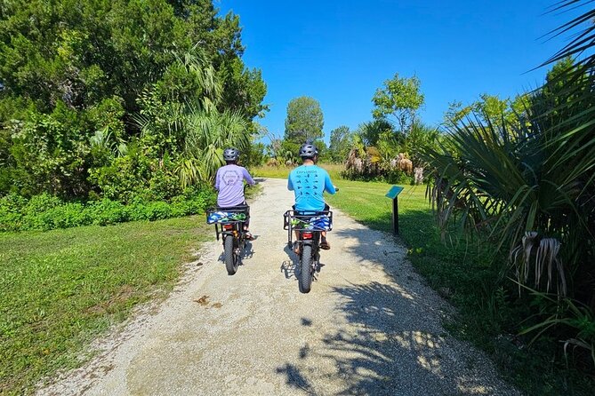 Cruise Crystal River E Bikes - Comparing to Other Local Activities