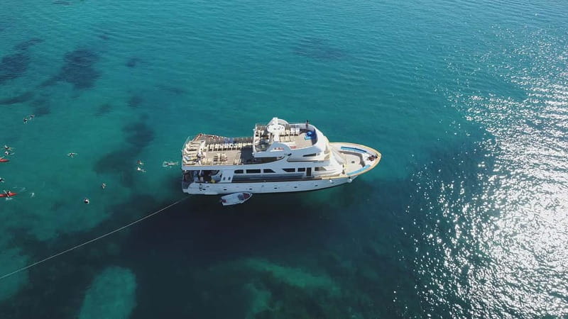 Cruise from Paphos Harbour to Blue Lagoon: All Inclusive - Entertainment and Relaxation Onboard