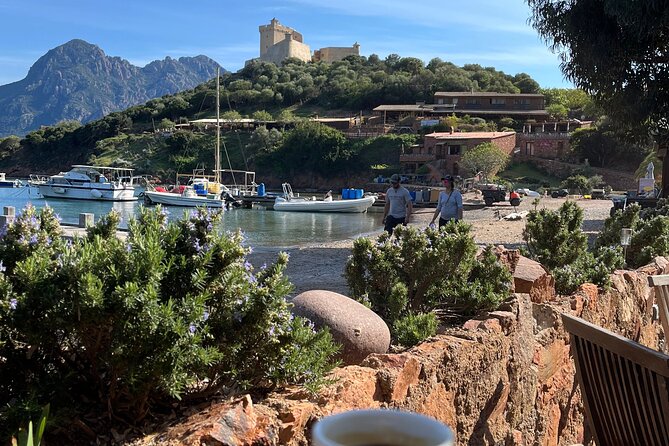 Cruise in a small group in Scandola Girolata Calanques de Piana - Comfort and Safety on a Semi-Rigid Boat