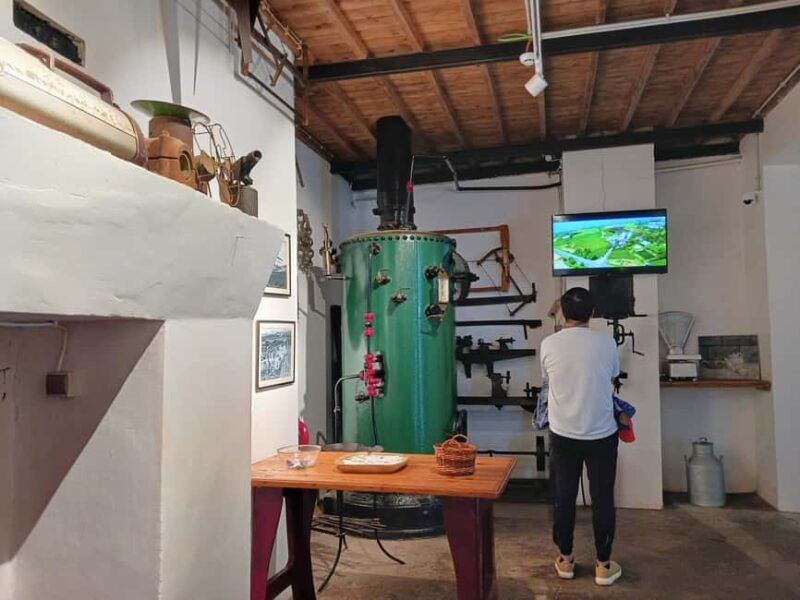 Cruise Shore Excursion São Miguel Essentials - Returning to Ponta Delgada with Lasting Impressions