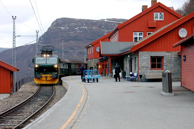 Cruise Special: Private Trip To Canyons And Waterfalls With Flåm Railway - Key Points