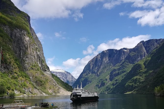 Cruise Special: Private Trip To Canyons And Waterfalls With Flåm Railway - Unforgettable Rail Journey from Flam to Myrdal
