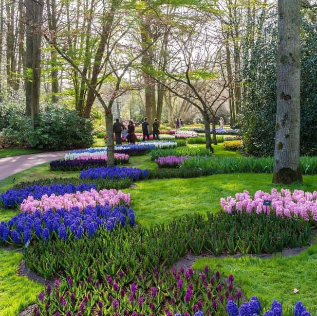 Cruise Terminal IJmuiden: Private Tour by Luxury Van - Pacing and Timing for a Personalized Experience