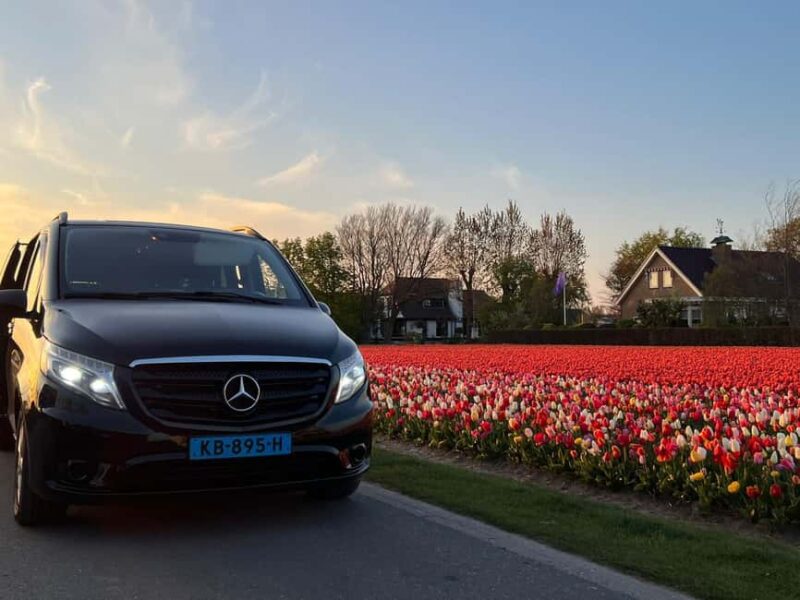 Cruise Terminal IJmuiden: Private Tour by Luxury Van - Why Choose This Tour for Your Netherlands Visit?