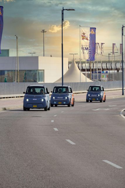 Cruise Terminal Pickup: Málaga in 2 Hours by Electric Car - Scenic Drive Through Málaga’s Neighborhoods and Parks