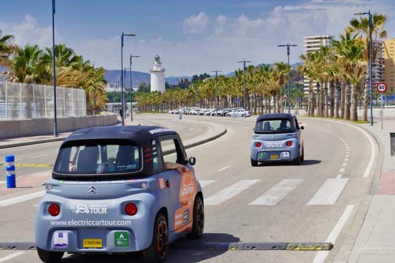 Cruise Terminal Pickup: Málaga in 2 Hours by Electric Car - Gibralfaro Castle Viewpoint: The Tour’s Scenic Highlight