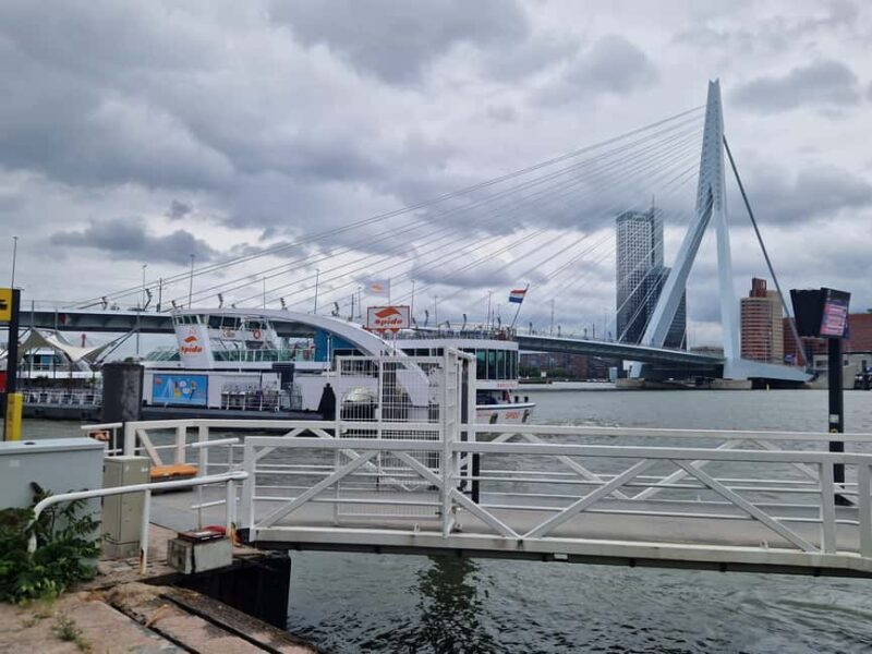 Cruise Terminal Rotterdam: Private Tour by Luxury Van - The Comfort and Practicalities of the Luxury Van