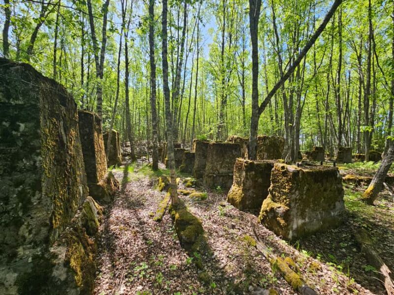 Cruise to Old Kemi with Guided Walking Tour - Key Points